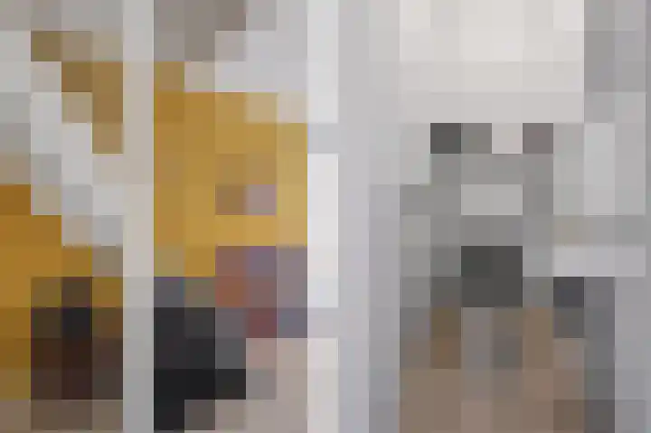 Venatorstraat 4 Alkmaar thumbnail 18