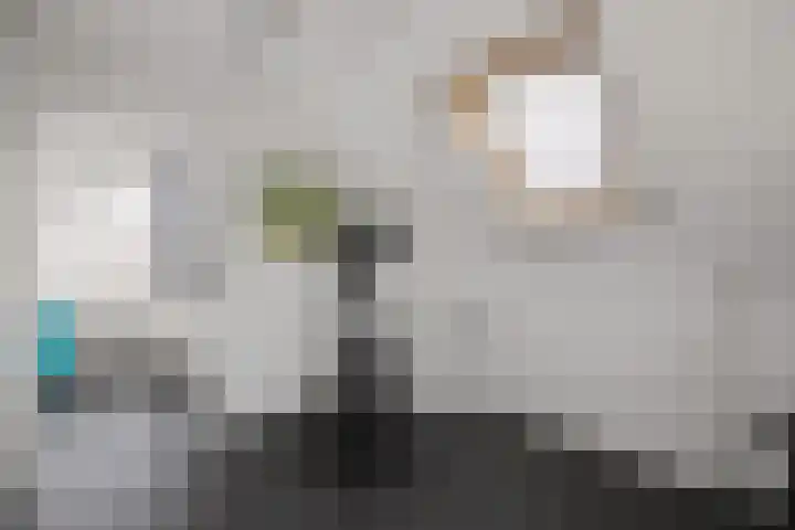 Venatorstraat 4 Alkmaar thumbnail 31