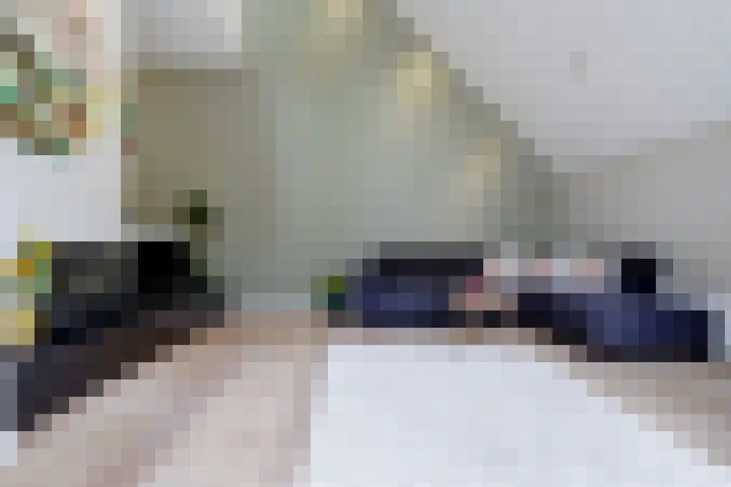 Venbroek 2 Hapert thumbnail 13