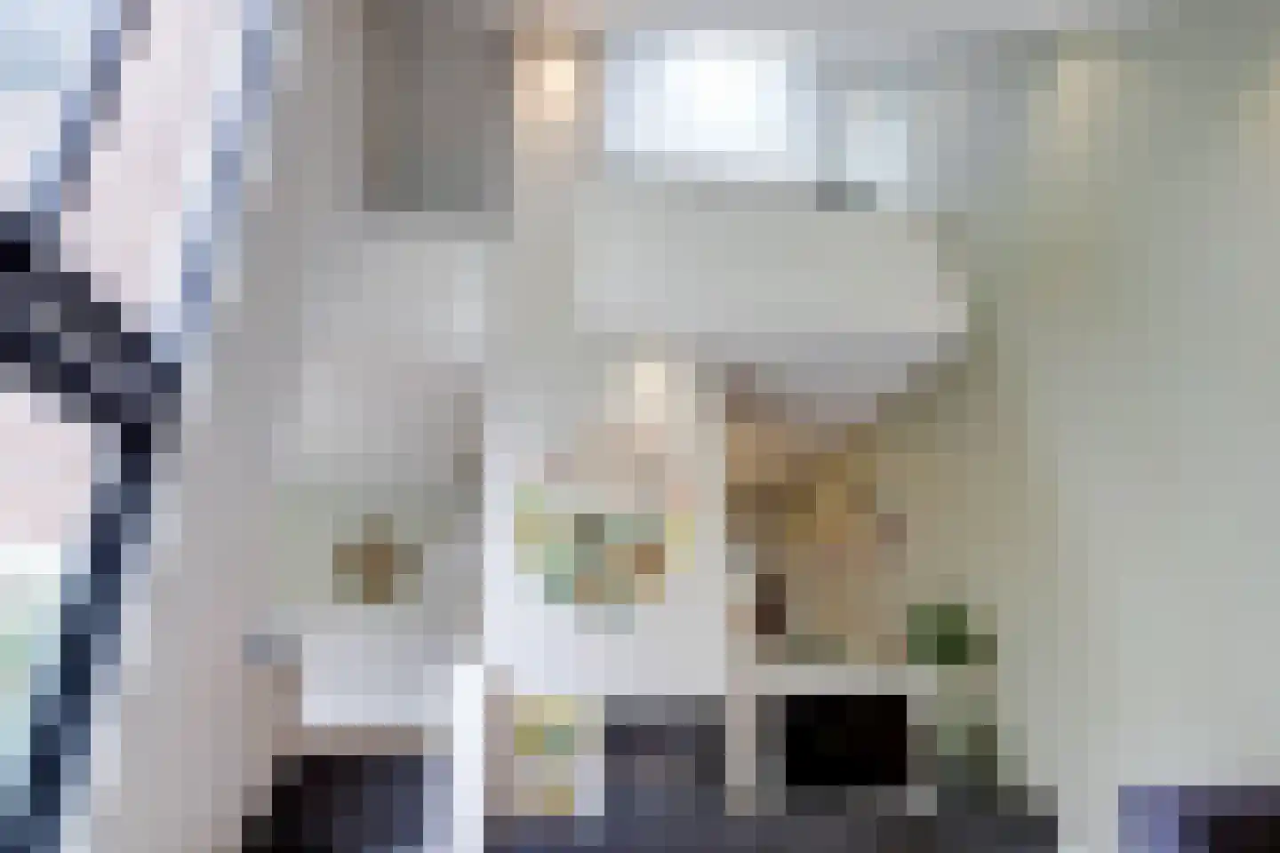 Venbroek 2 Hapert thumbnail 17