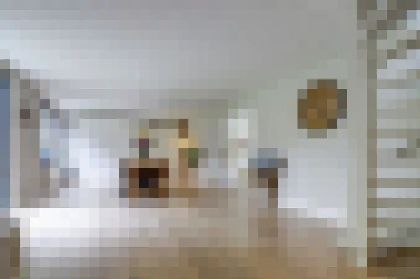 Venbroek 2 Hapert thumbnail 19