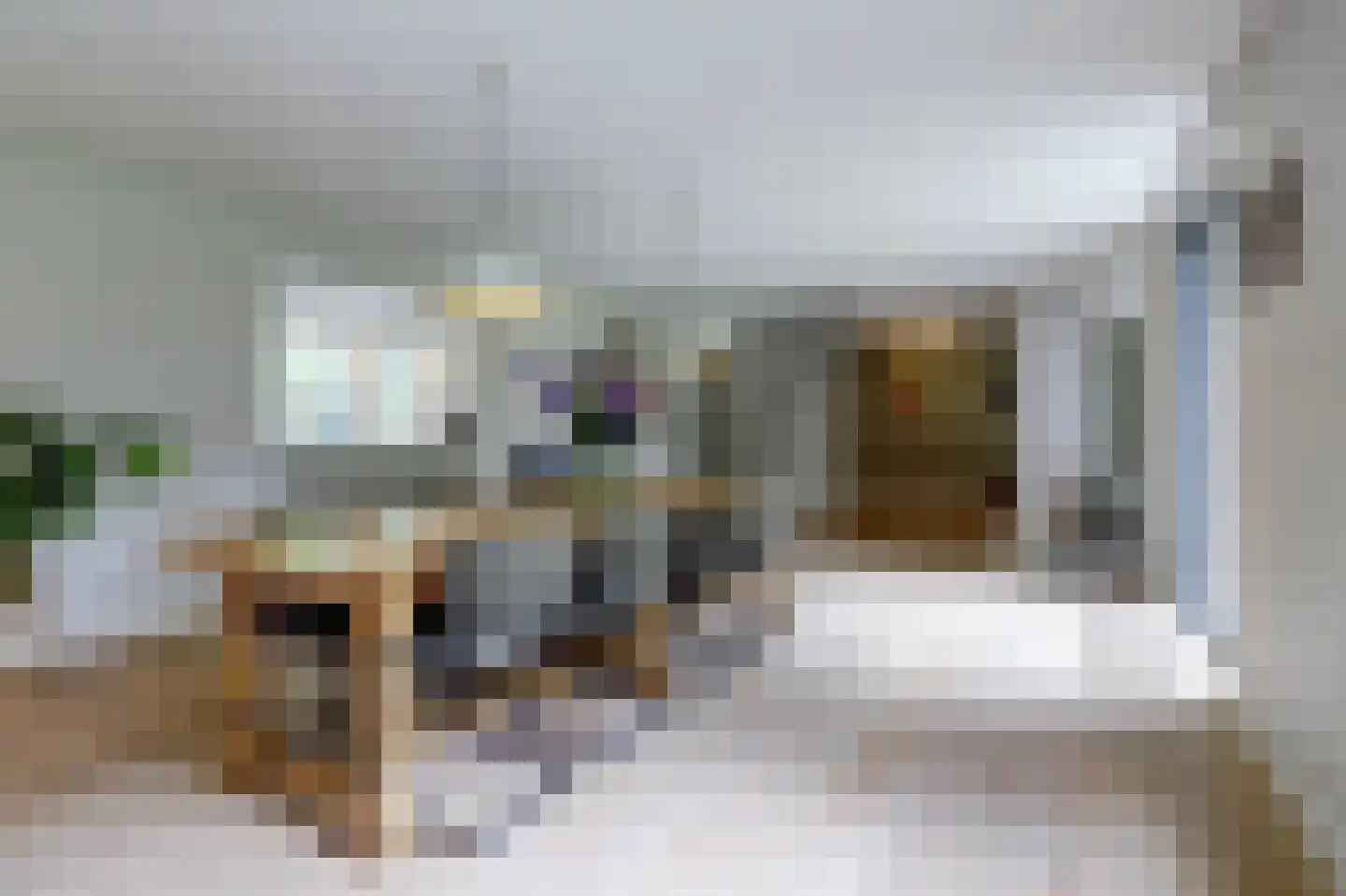 Venbroek 2 Hapert thumbnail 24