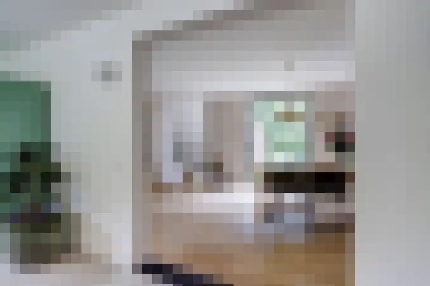 Venbroek 2 Hapert thumbnail 28