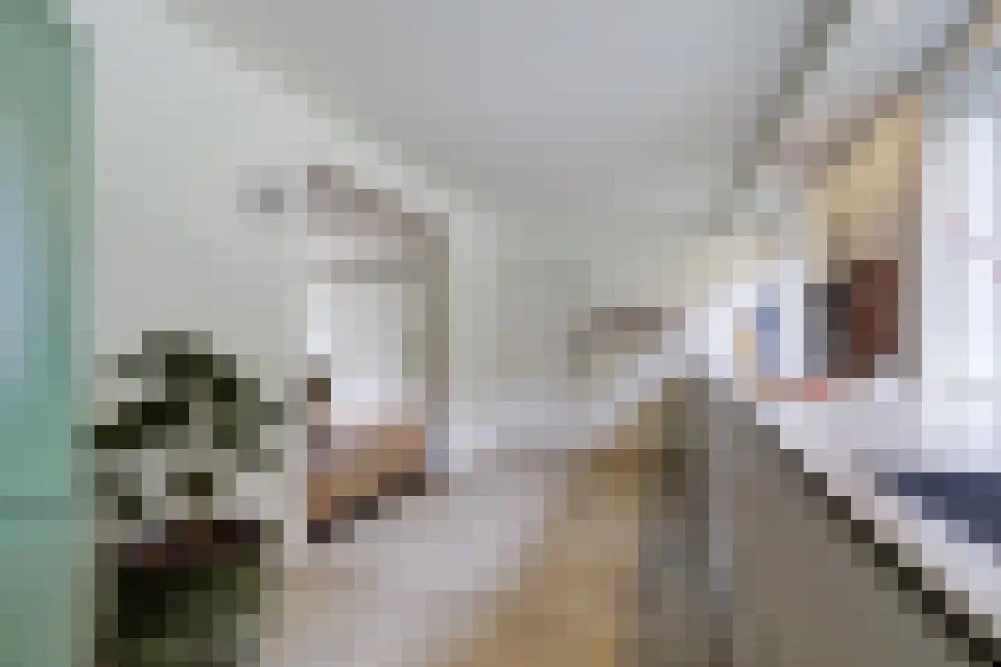 Venbroek 2 Hapert thumbnail 32