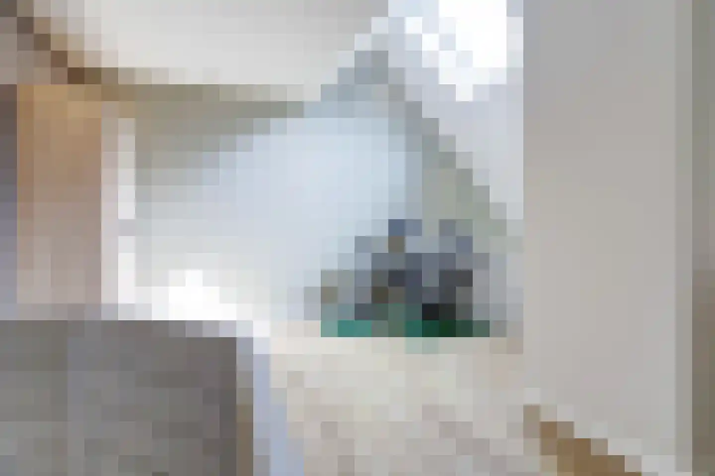 Venbroek 2 Hapert thumbnail 42