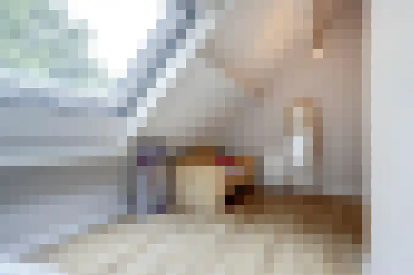 Venbroek 2 Hapert thumbnail 47