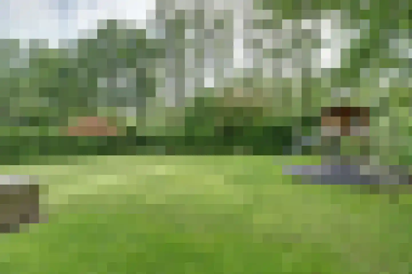 Venbroek 2 Hapert thumbnail 66
