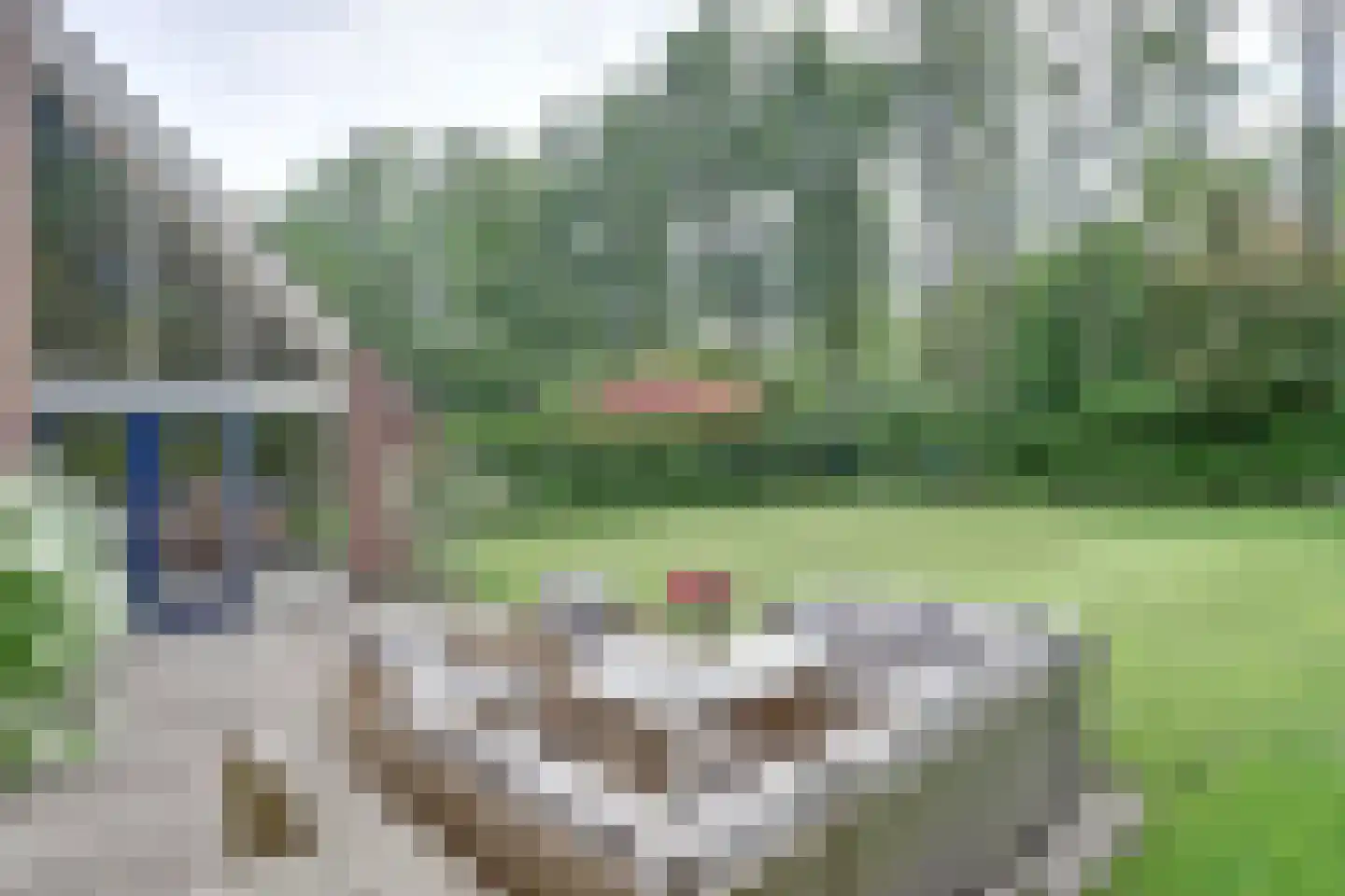 Venbroek 2 Hapert thumbnail 68
