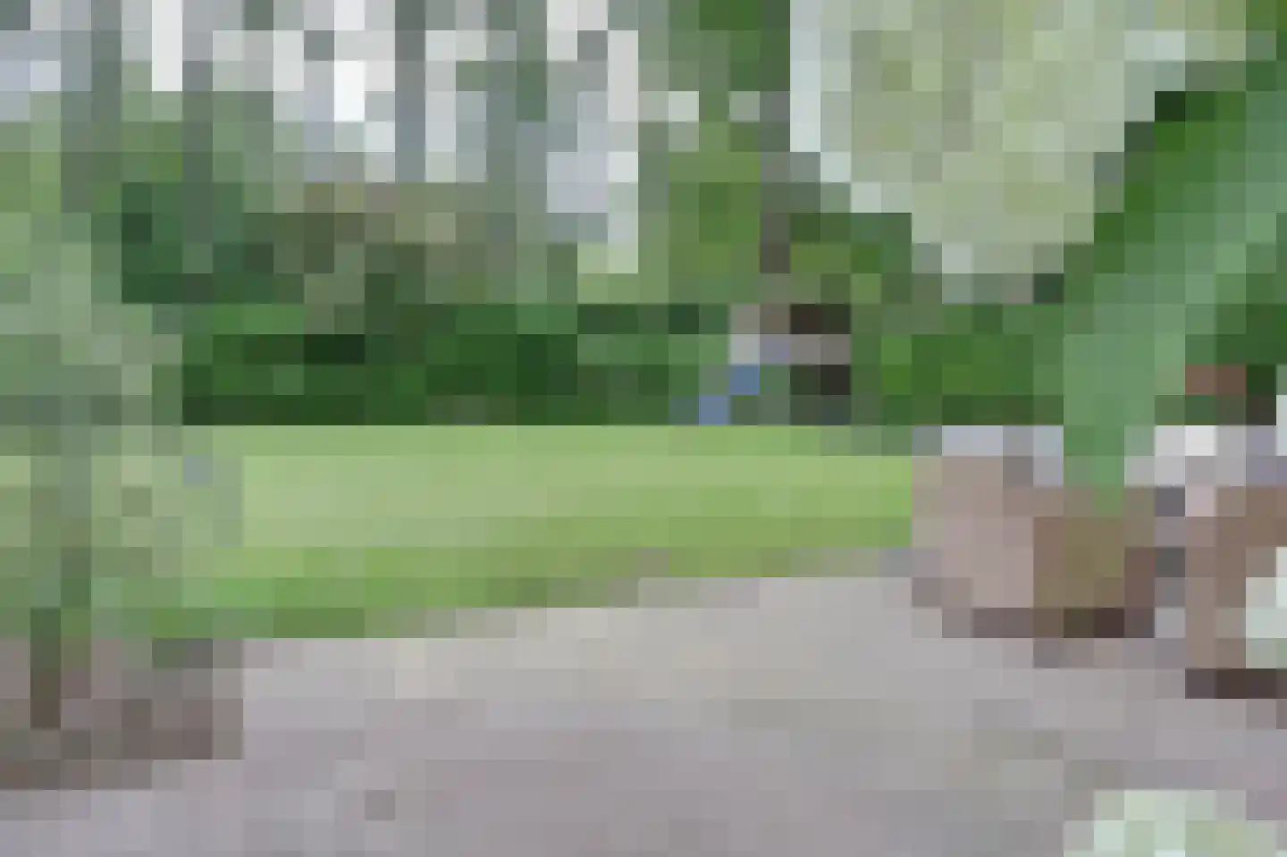 Venbroek 2 Hapert thumbnail 72
