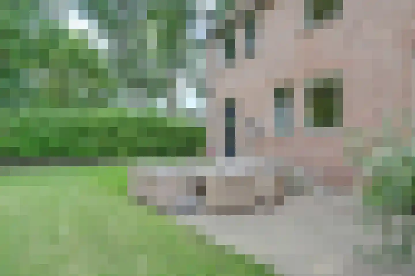 Venbroek 2 Hapert thumbnail 73