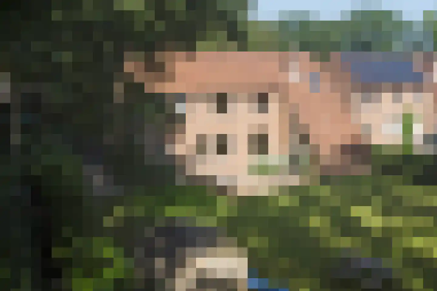 Venbroek 2 Hapert thumbnail 76