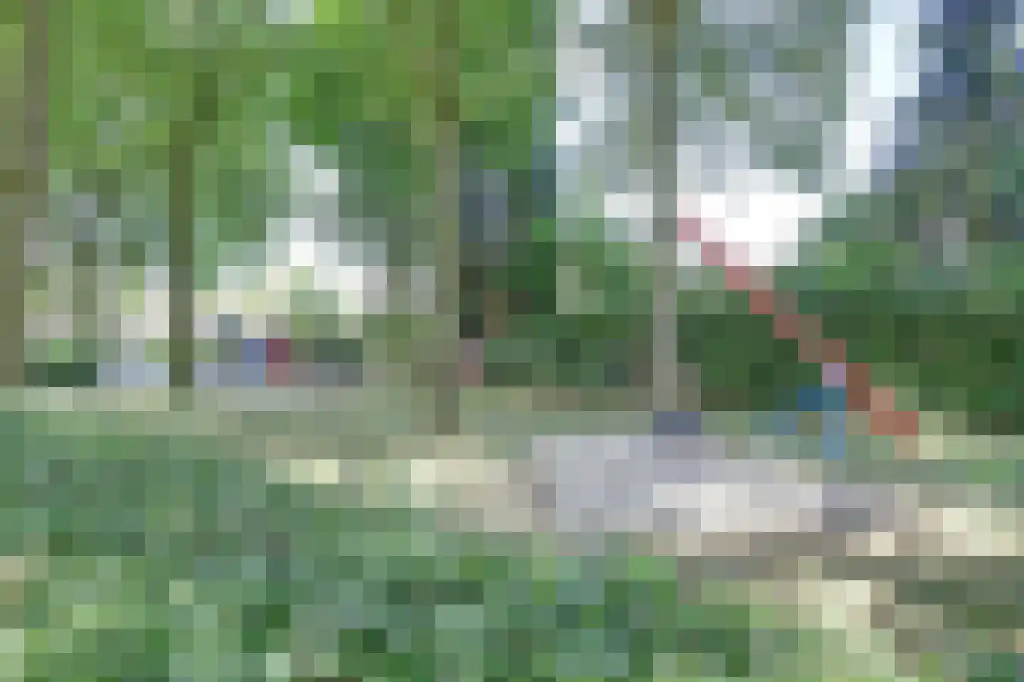 Venbroek 2 Hapert thumbnail 78