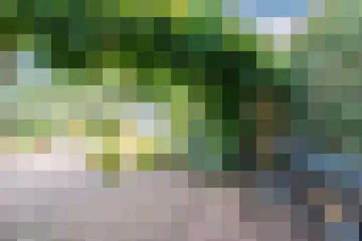 Venbroek 28 Hapert thumbnail 37