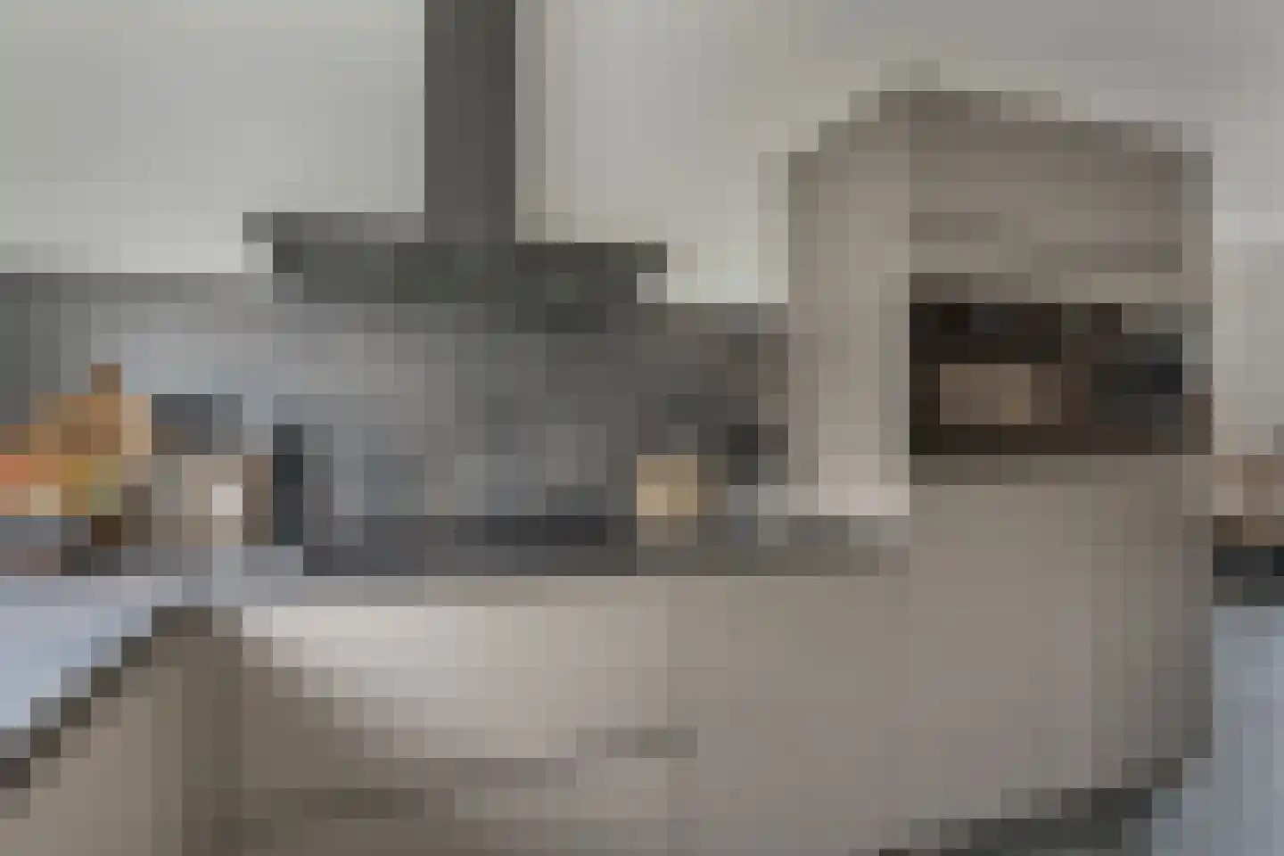 Vendel 20 Den Dungen thumbnail 10
