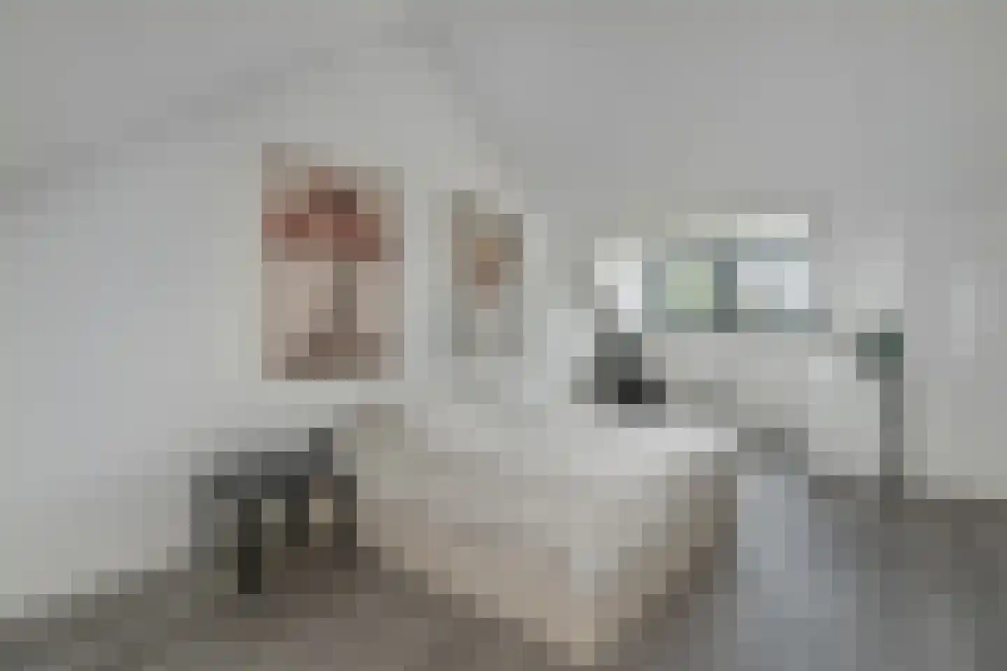 Vendel 20 Den Dungen thumbnail 19