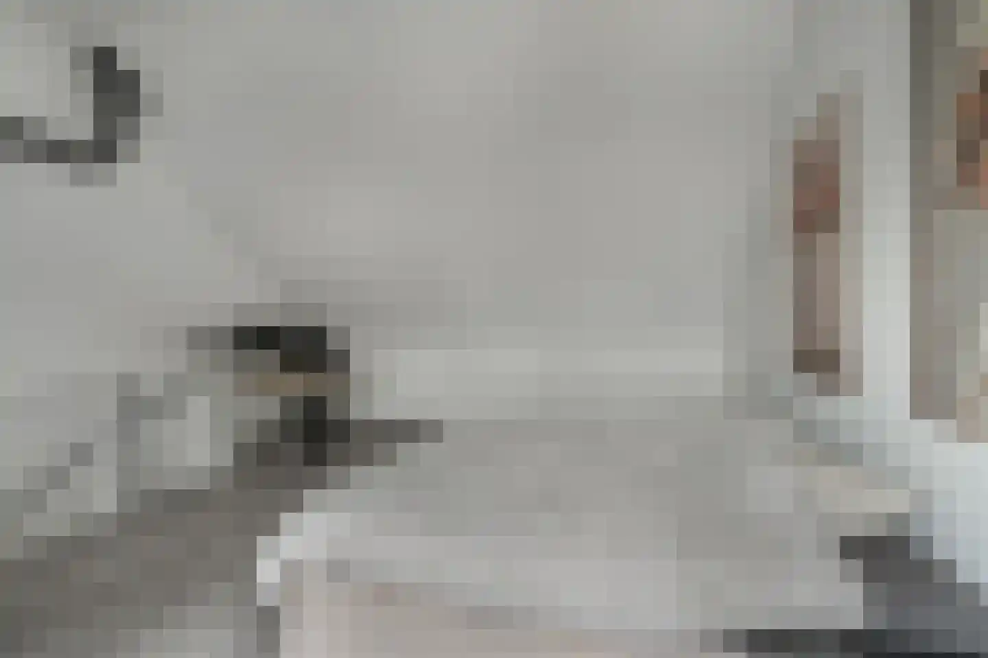 Vendel 20 Den Dungen thumbnail 20