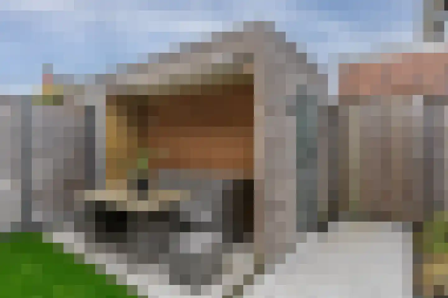 Vendel 20 Den Dungen thumbnail 23