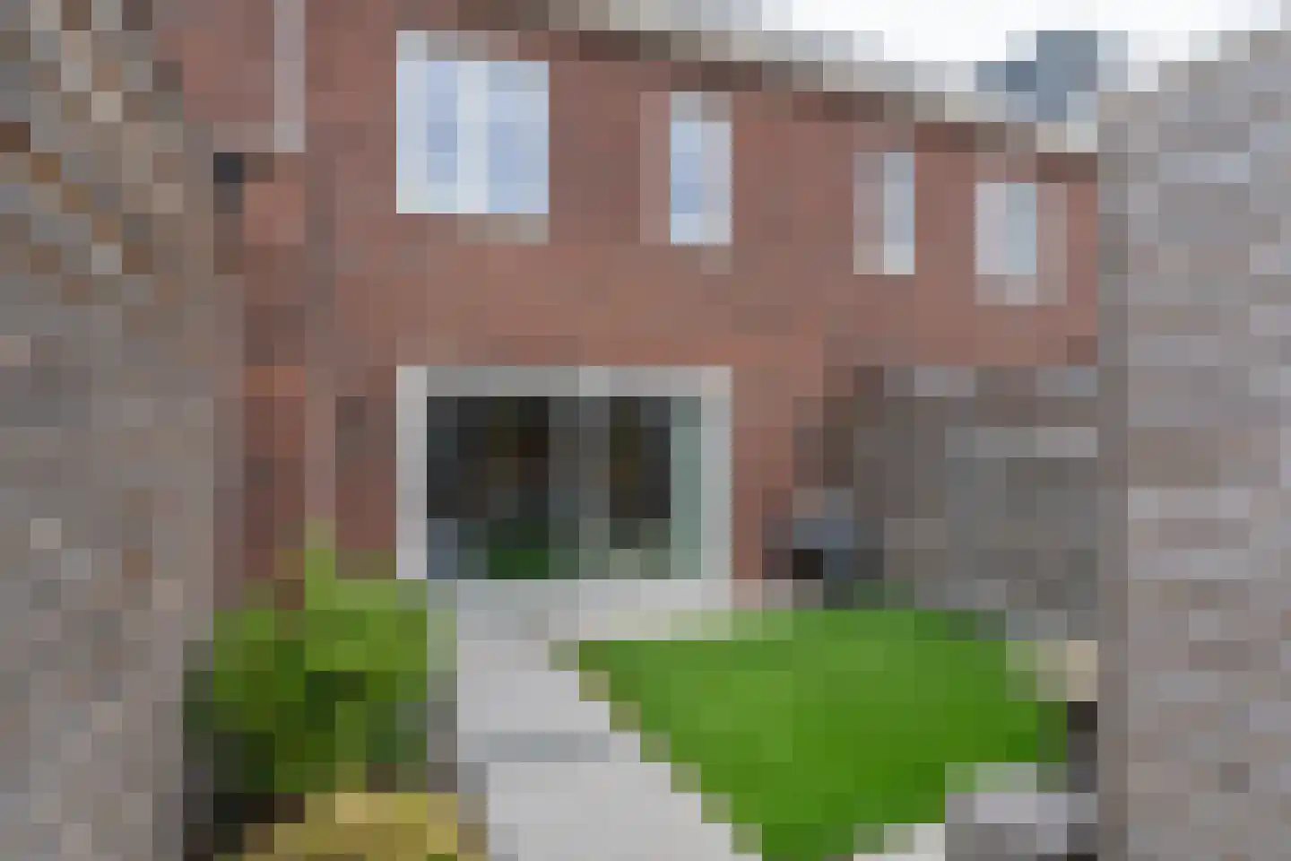 Vendel 20 Den Dungen thumbnail 4
