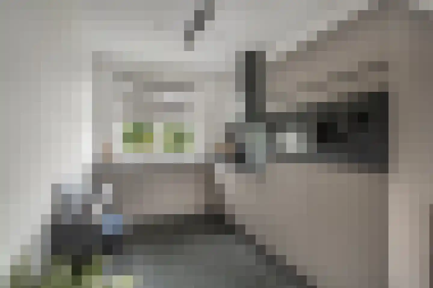 Vendel 20 Den Dungen thumbnail 9