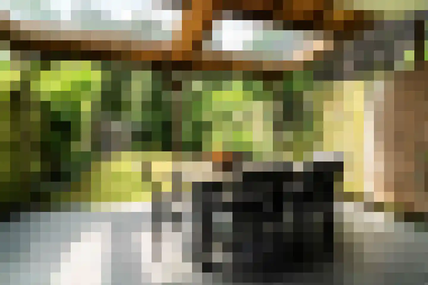 Vendelhof 13 Boxtel thumbnail 17