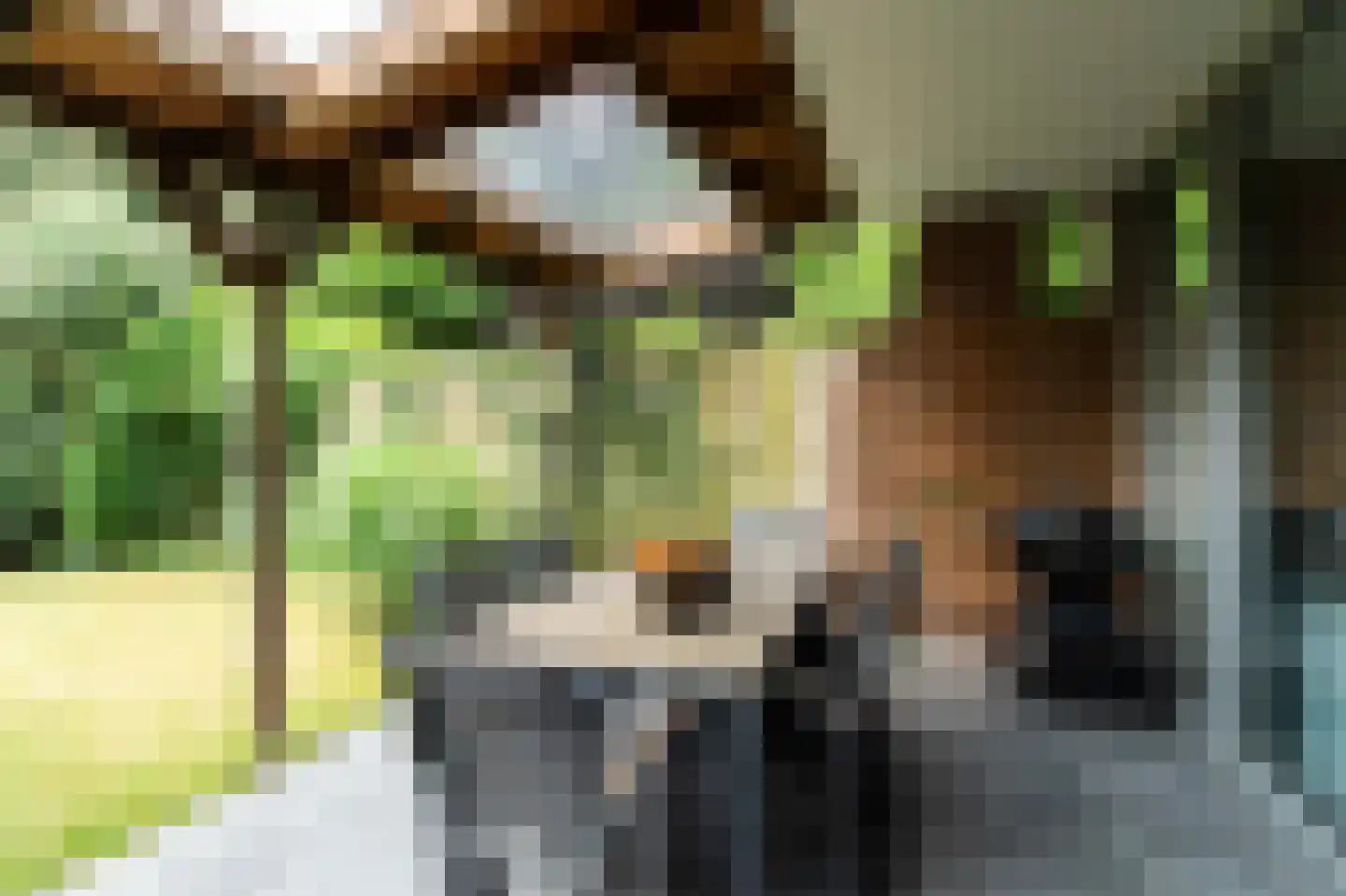 Vendelhof 13 Boxtel thumbnail 18