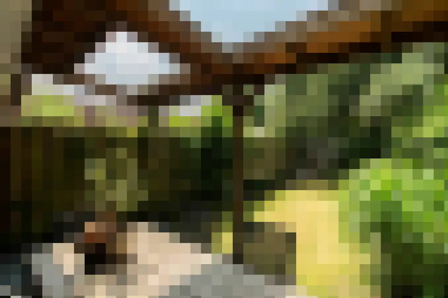 Vendelhof 13 Boxtel thumbnail 20