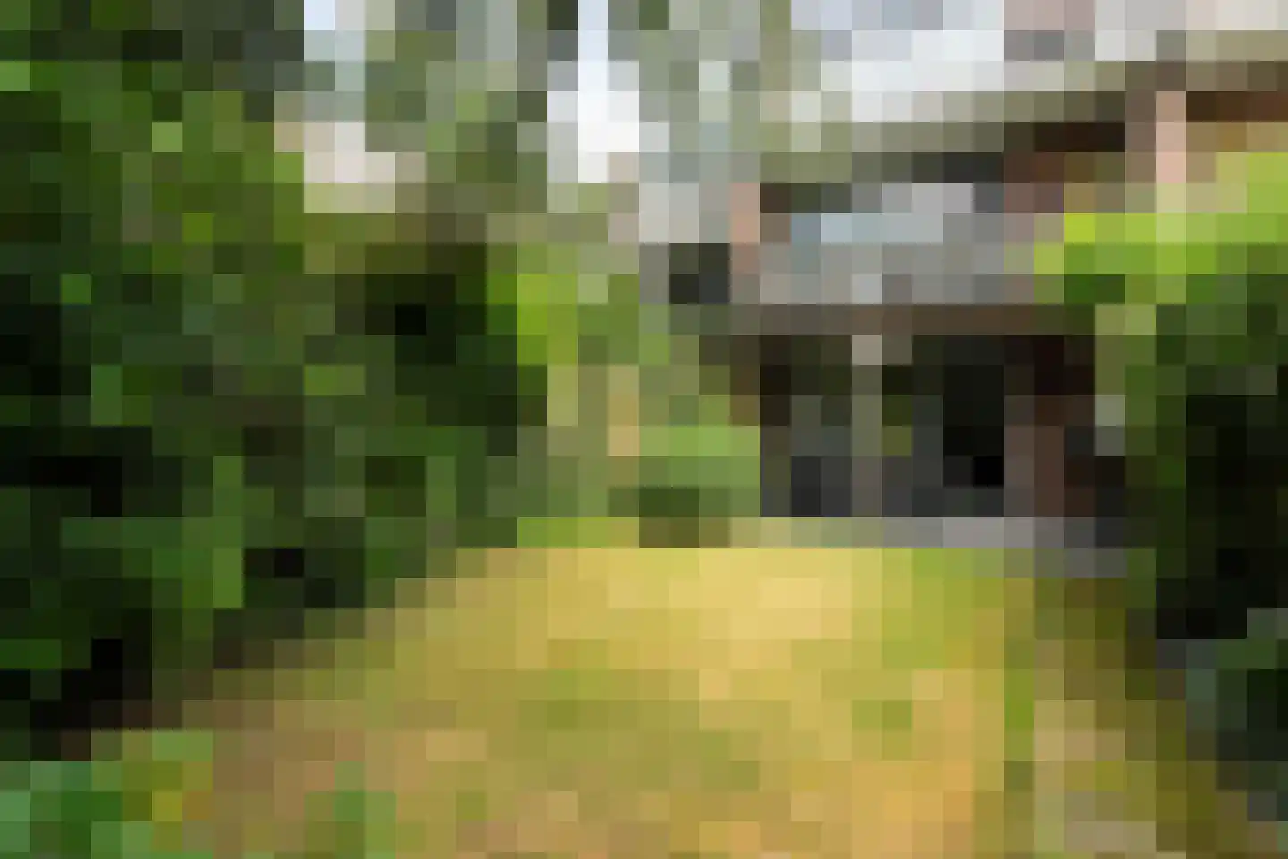 Vendelhof 13 Boxtel thumbnail 21