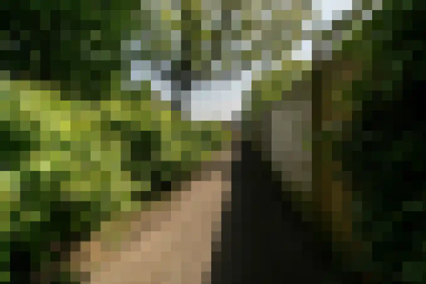 Vendelhof 13 Boxtel thumbnail 32