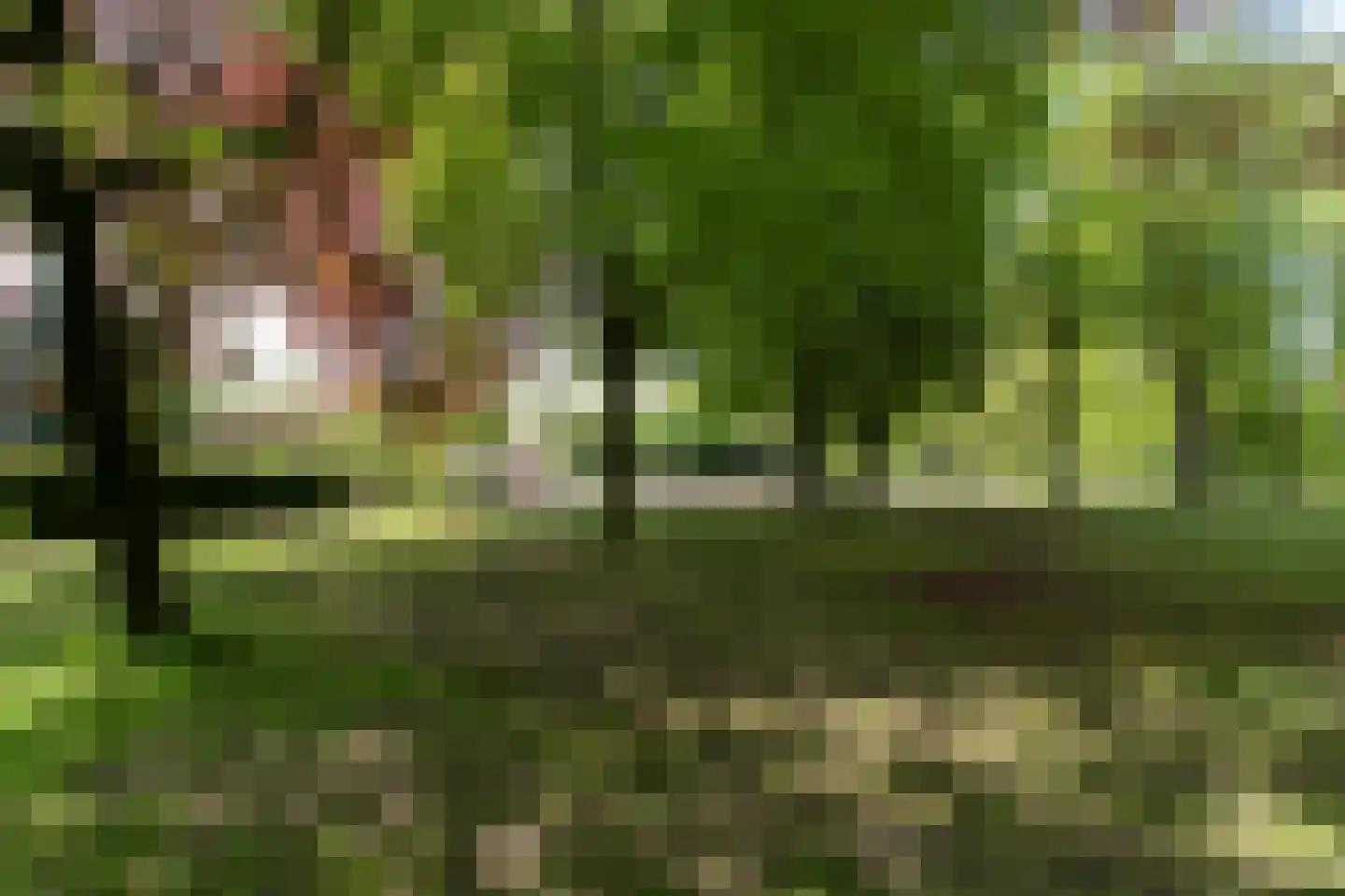 Vendelhof 13 Boxtel thumbnail 33