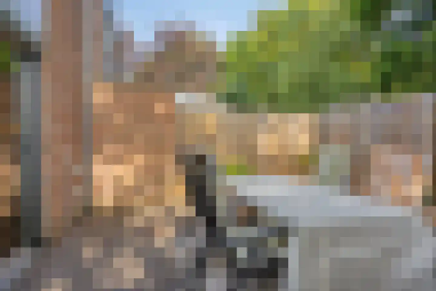 Vendelhof 23 Boxtel thumbnail 16