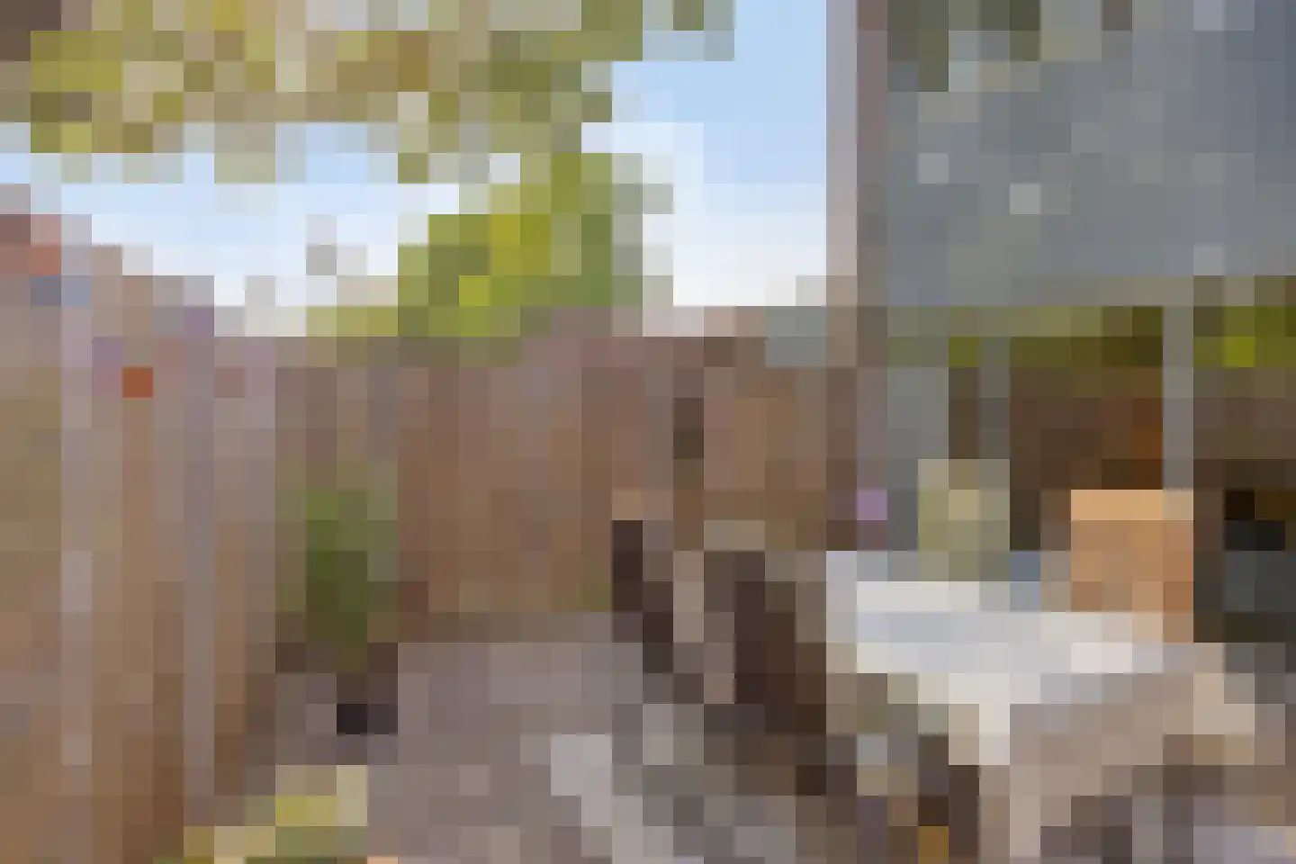 Vendelhof 23 Boxtel thumbnail 17