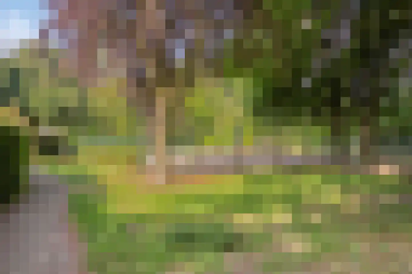 Vendelhof 23 Boxtel thumbnail 18