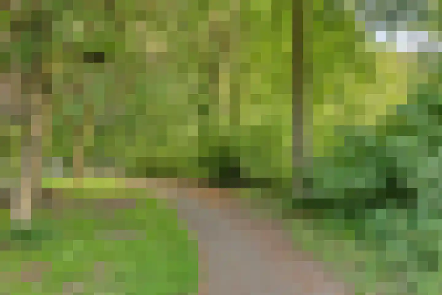 Vendelhof 23 Boxtel thumbnail 19