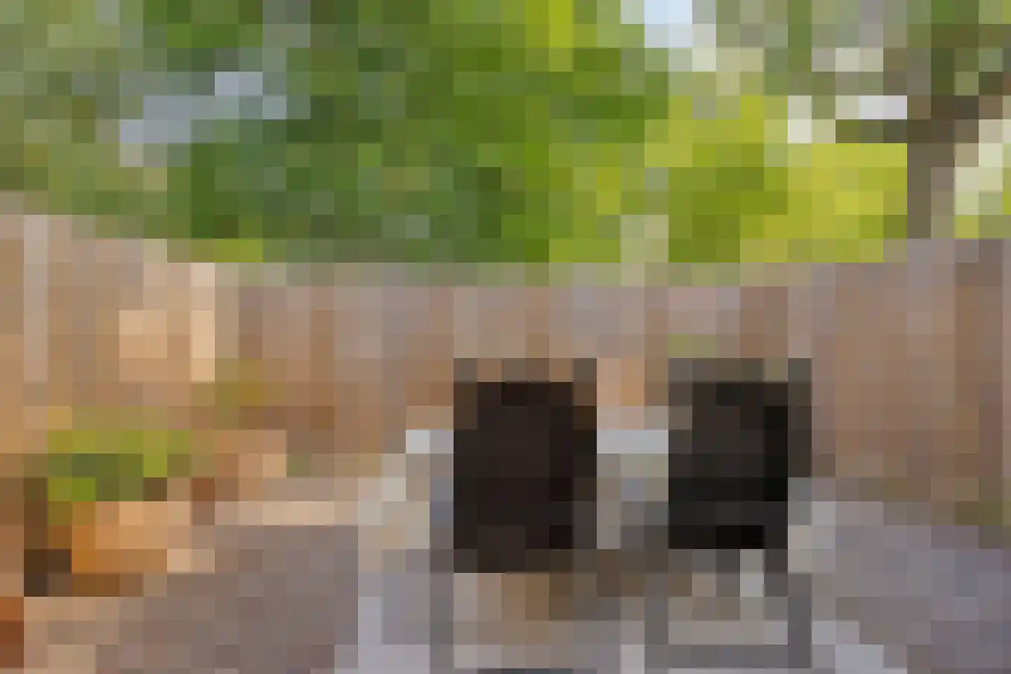 Vendelhof 23 Boxtel thumbnail 5