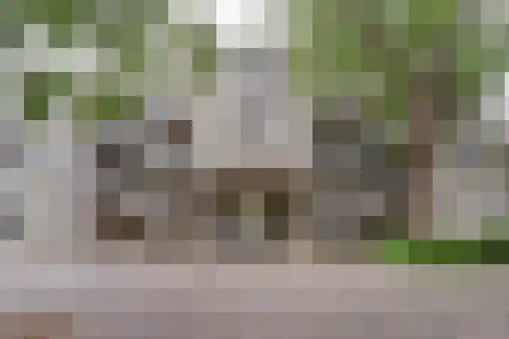 Vendelhof 52 Schiedam thumbnail 15