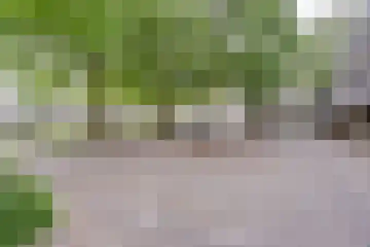 Vendelhof 52 Schiedam thumbnail 16