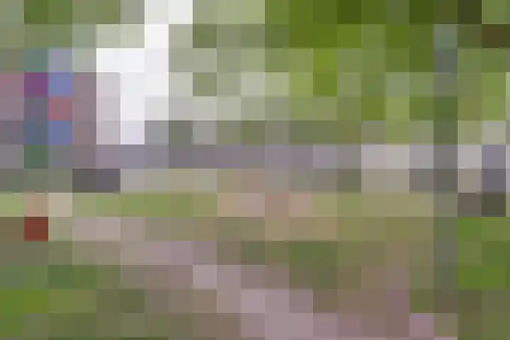 Vendelhof 52 Schiedam thumbnail 17