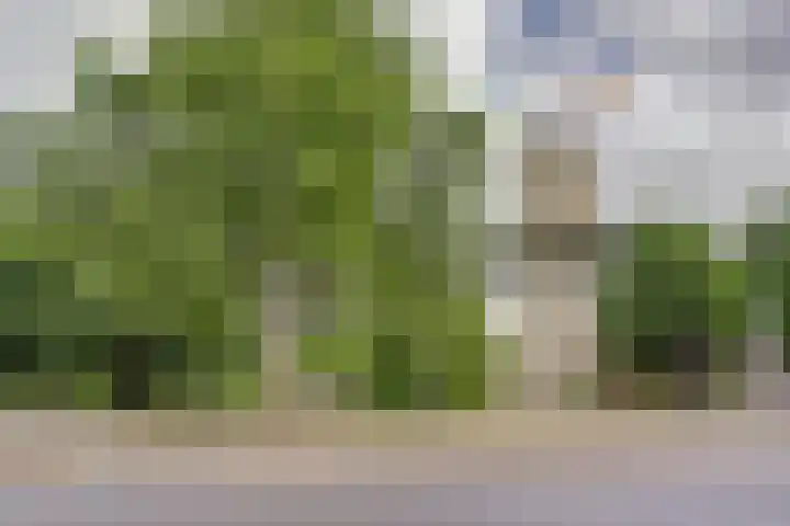 Vendelhof 52 Schiedam thumbnail 19