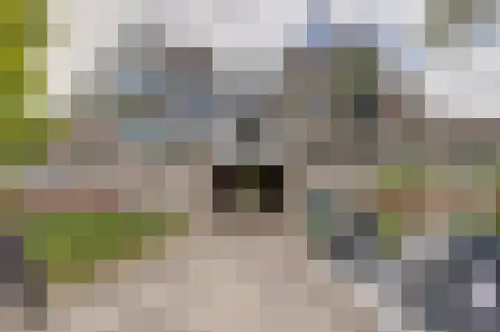 Vendelhof 52 Schiedam thumbnail 22