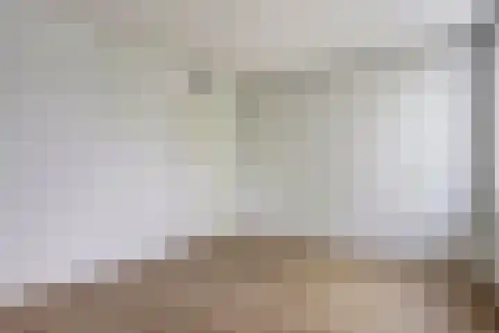 Vendelhof 52 Schiedam thumbnail 8