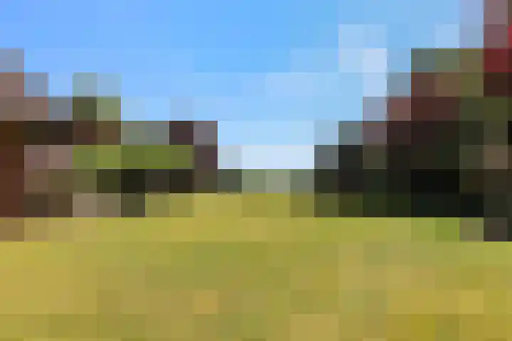 Vendelhof 56 Schiedam thumbnail 19