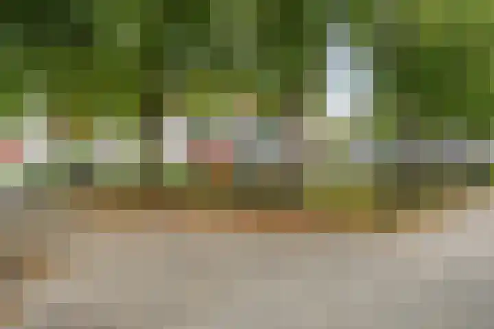 Vendelhof 56 Schiedam thumbnail 21