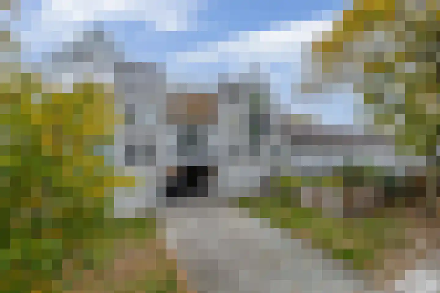Vendelhof 58 Schiedam thumbnail 21