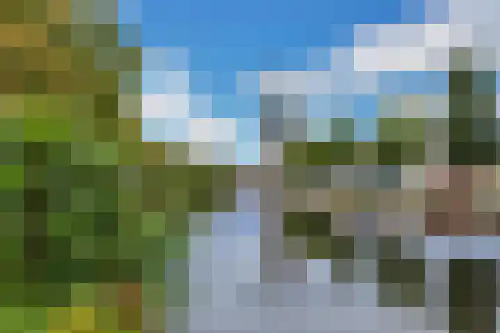 Vendelhof 70 Schiedam thumbnail 33