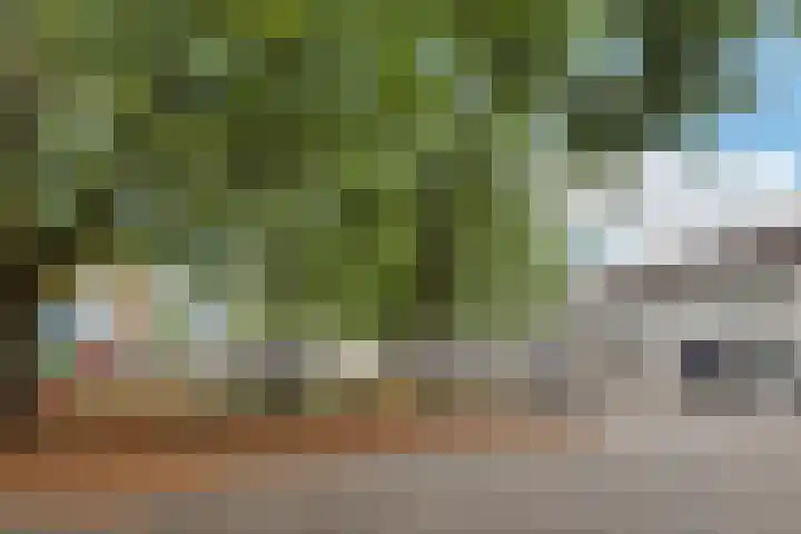 Vendelhof 70 Schiedam thumbnail 5