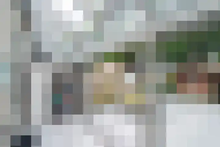 Vendelhof 72 Schiedam thumbnail 15