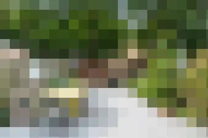 Vendelhof 72 Schiedam thumbnail 16
