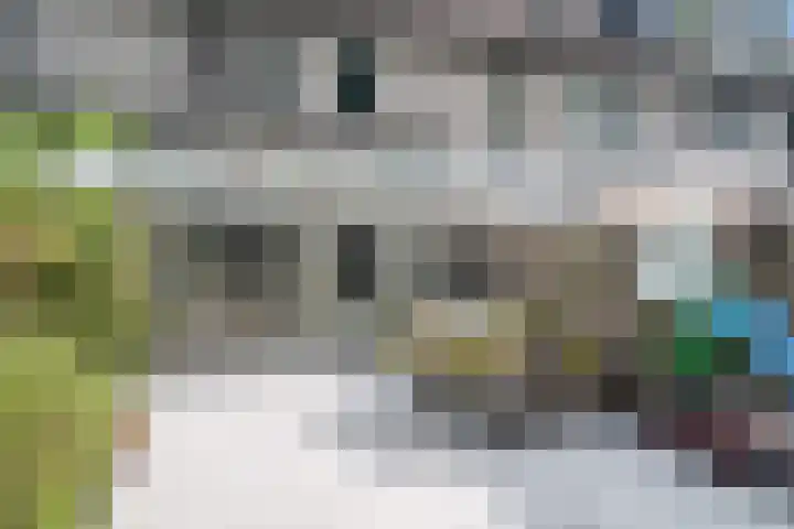Vendelhof 72 Schiedam thumbnail 19