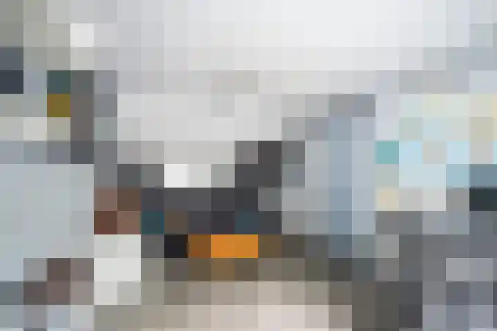 Vendelhof 72 Schiedam thumbnail 33