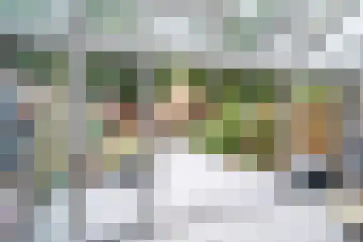Vendelhof 72 Schiedam thumbnail 4